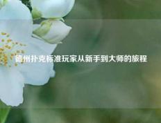 德州扑克标准玩家从新手到大师的旅程