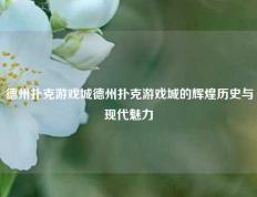 德州扑克游戏城德州扑克游戏城的辉煌历史与现代魅力