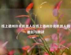 线上德州扑克机器人在线上德州扑克机器人的崛起与挑战