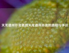 天龙德州扑克真假天龙德州扑克的真相与争议
