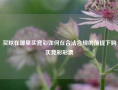 买球在哪里买竞彩如何在合法合规的前提下购买竞彩彩票