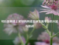 可以在网络上买球吗网络足球交易平台的兴起与挑战