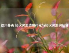 德州扑克 协议奖池德州扑克与协议奖池的结合