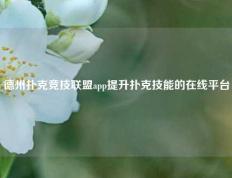 德州扑克竞技联盟app提升扑克技能的在线平台