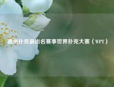 德州扑克最出名赛事世界扑克大赛（WPT）