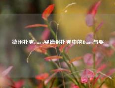 德州扑克dwan哭德州扑克中的Dwan与哭