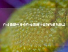 在线赌德州扑克在线德州扑克的兴起与挑战