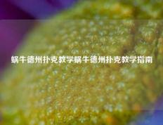蜗牛德州扑克教学蜗牛德州扑克教学指南