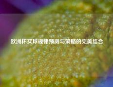 欧洲杯买球规律预测与策略的完美结合