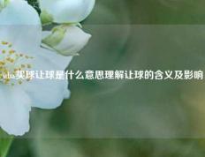 nba买球让球是什么意思理解让球的含义及影响