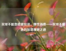 买球不能急稳健投资，理性消费——买球不能急的智慧理财之道
