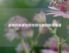 买球的渠道如何找到可靠的购买渠道
