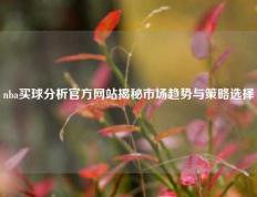 nba买球分析官方网站揭秘市场趋势与策略选择