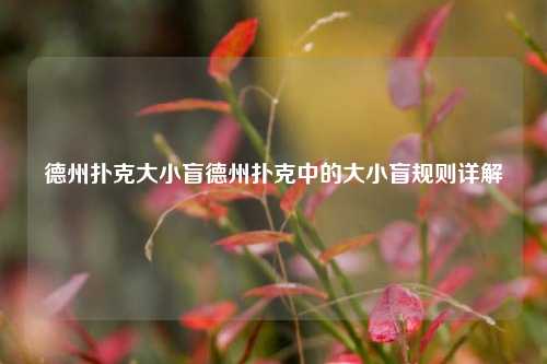 德州扑克大小盲德州扑克中的大小盲规则详解