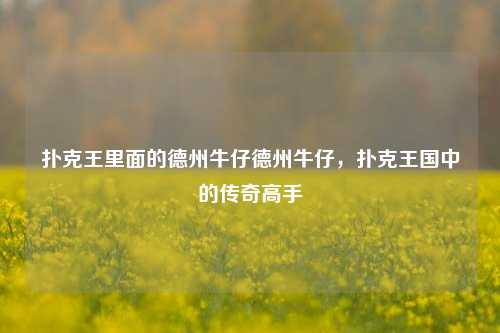 扑克王里面的德州牛仔德州牛仔，扑克王国中的传奇高手