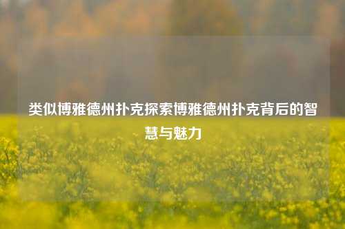 类似博雅德州扑克探索博雅德州扑克背后的智慧与魅力