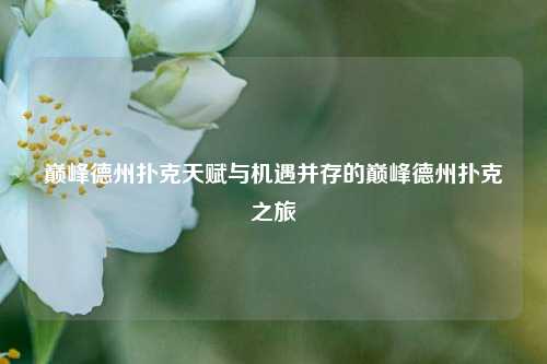 巅峰德州扑克天赋与机遇并存的巅峰德州扑克之旅