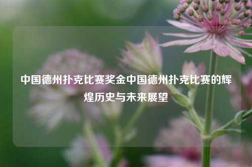 中国德州扑克比赛奖金中国德州扑克比赛的辉煌历史与未来展望
