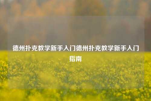 德州扑克教学新手入门德州扑克教学新手入门指南