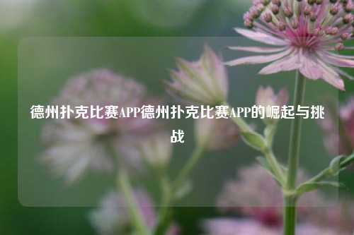 德州扑克比赛APP德州扑克比赛APP的崛起与挑战
