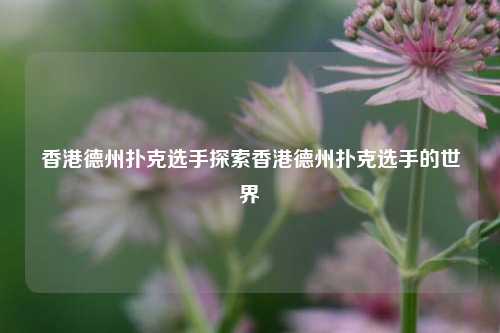 香港德州扑克选手探索香港德州扑克选手的世界