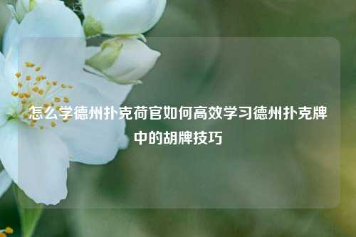 怎么学德州扑克荷官如何高效学习德州扑克牌中的胡牌技巧