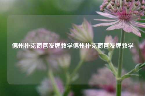德州扑克荷官发牌教学德州扑克荷官发牌教学