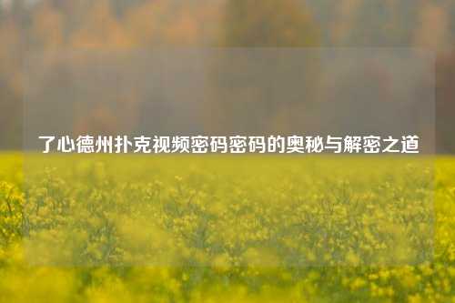 了心德州扑克视频密码密码的奥秘与解密之道