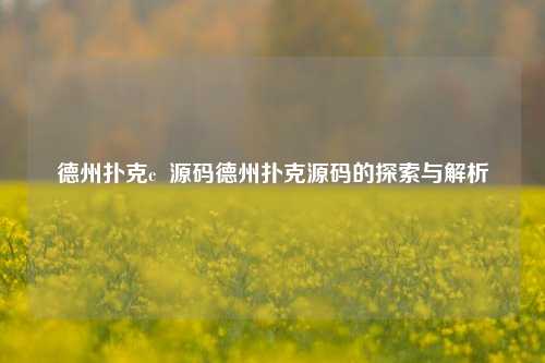 德州扑克c  源码德州扑克源码的探索与解析