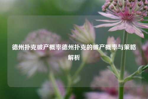 德州扑克破产概率德州扑克的破产概率与策略解析