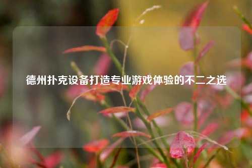 德州扑克设备打造专业游戏体验的不二之选