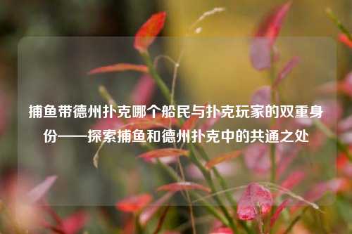 捕鱼带德州扑克哪个船民与扑克玩家的双重身份——探索捕鱼和德州扑克中的共通之处