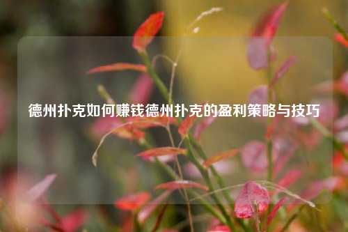 德州扑克如何赚钱德州扑克的盈利策略与技巧
