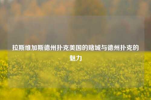 拉斯维加斯德州扑克美国的赌城与德州扑克的魅力
