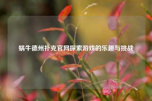 蜗牛德州扑克官网探索游戏的乐趣与挑战