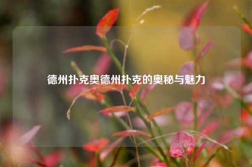 德州扑克奥德州扑克的奥秘与魅力