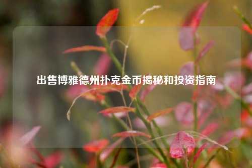 出售博雅德州扑克金币揭秘和投资指南