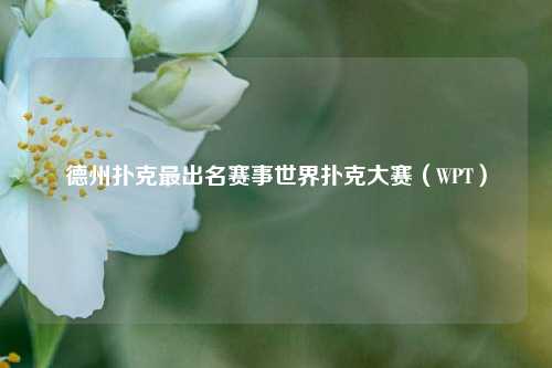 德州扑克最出名赛事世界扑克大赛（WPT）