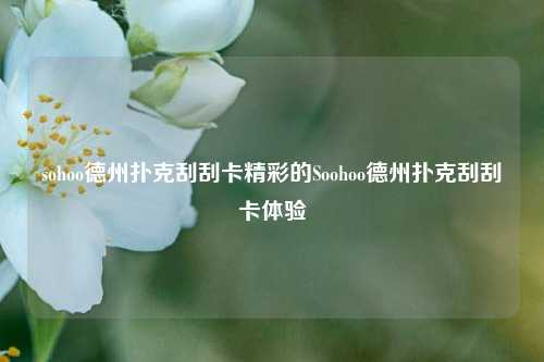 sohoo德州扑克刮刮卡精彩的Soohoo德州扑克刮刮卡体验
