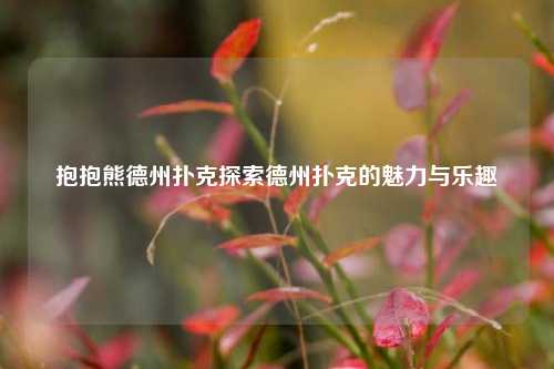 抱抱熊德州扑克探索德州扑克的魅力与乐趣