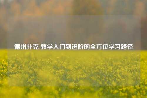 德州扑克 教学入门到进阶的全方位学习路径