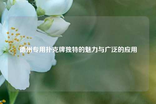德州专用扑克牌独特的魅力与广泛的应用