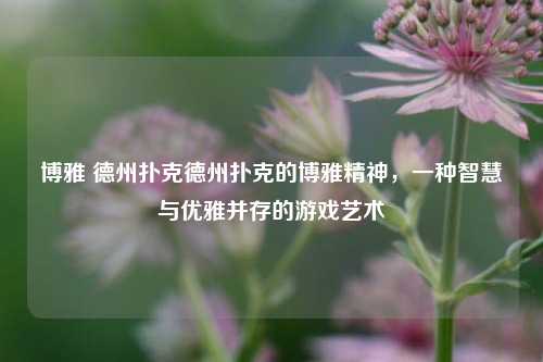 博雅 德州扑克德州扑克的博雅精神，一种智慧与优雅并存的游戏艺术