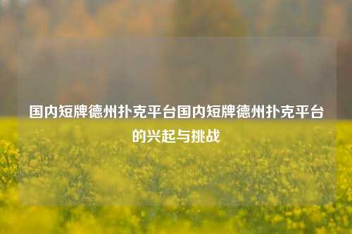 国内短牌德州扑克平台国内短牌德州扑克平台的兴起与挑战