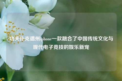 功夫扑克德州iphone一款融合了中国传统文化与现代电子竞技的娱乐新宠