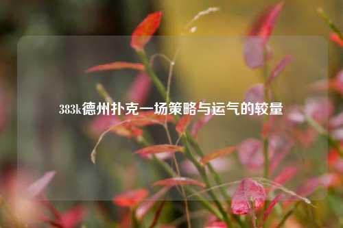 383k德州扑克一场策略与运气的较量