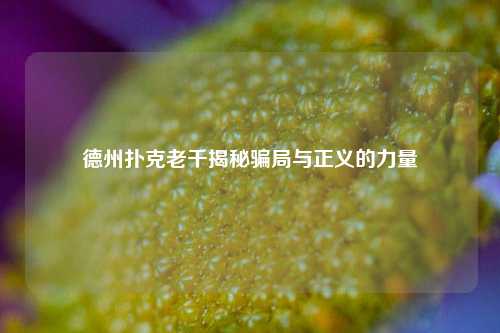 德州扑克老千揭秘骗局与正义的力量