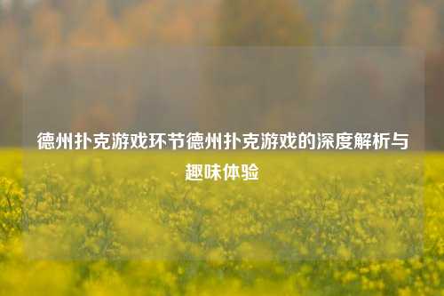 德州扑克游戏环节德州扑克游戏的深度解析与趣味体验