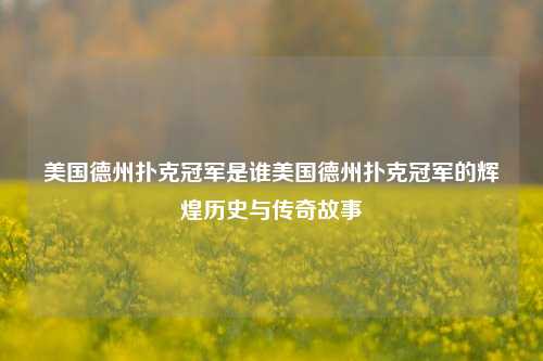 美国德州扑克冠军是谁美国德州扑克冠军的辉煌历史与传奇故事