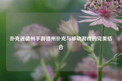 扑克迷德州手游德州扑克与移动游戏的完美结合